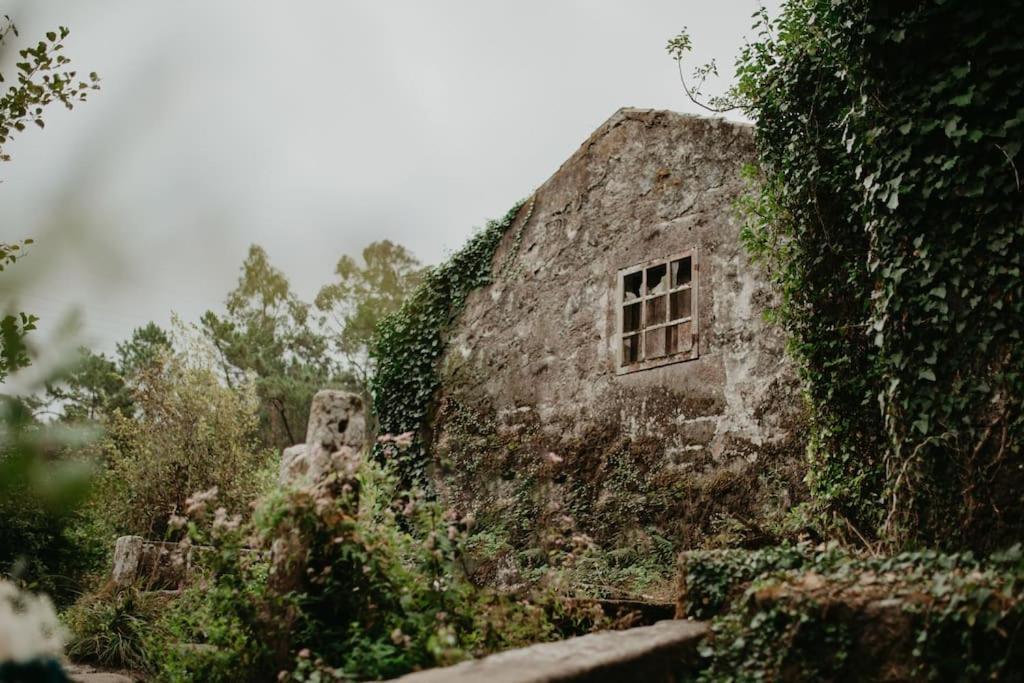 Antas Villa Family Esposende Bagian luar foto